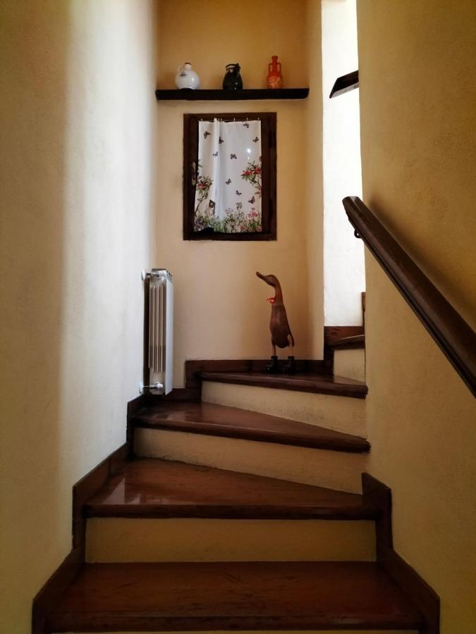 Villa Casina Morogina Cortona Exterior foto